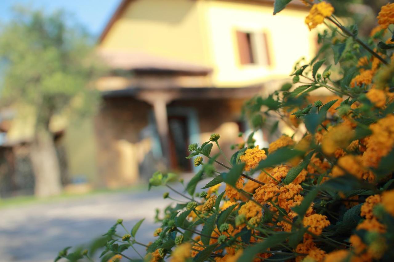 Su Passu Country House Fertilia Exterior foto